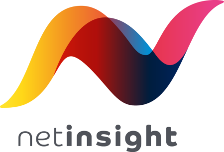 Netinsight Main logotype