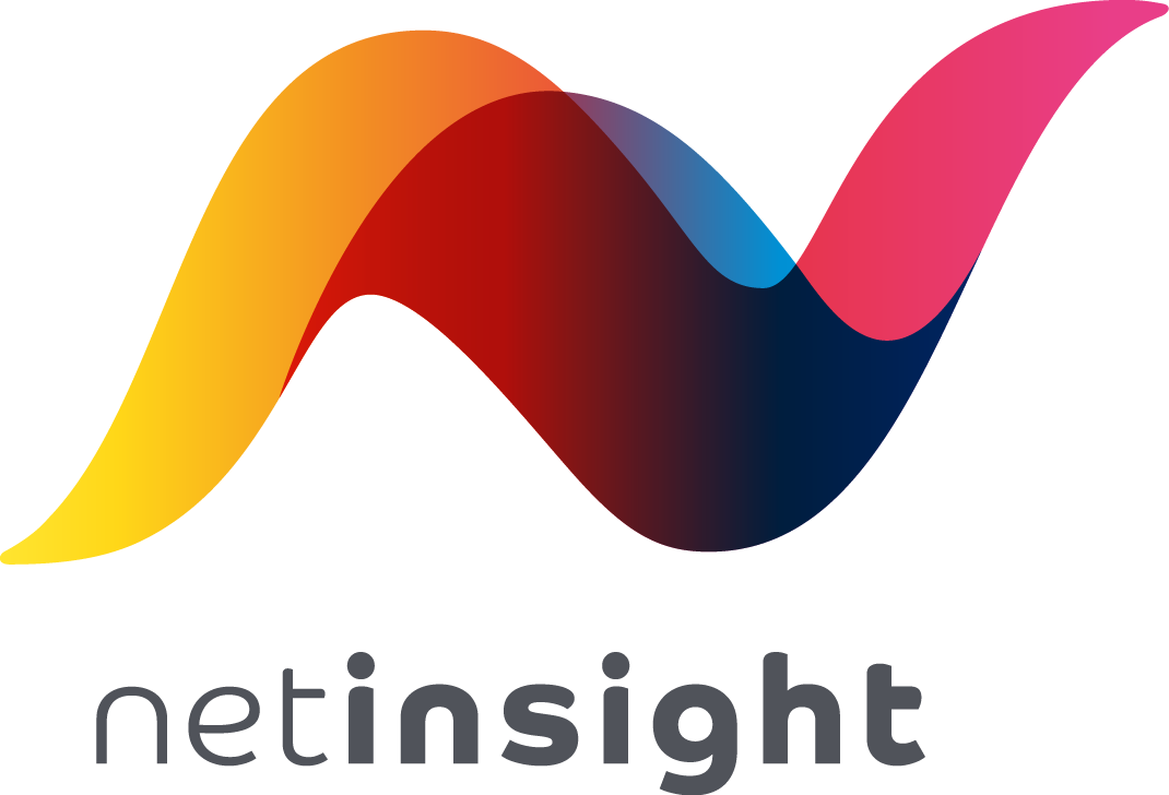 netinsight main logotype